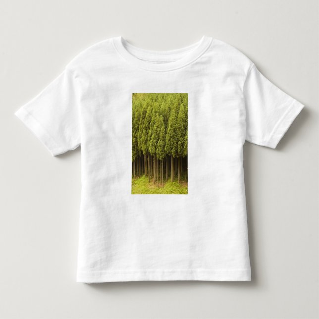Koya Sugi Cedar Trees Toddler T-shirt (Front)