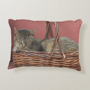 Kozy Kitty Coussin