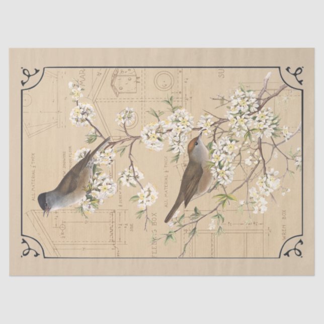 Kraft Warbler Bird Birdhouse Border Decoupage Tan Tissue Paper (Front)