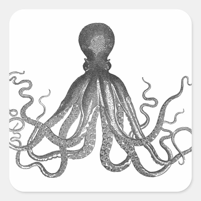 Kraken - Black Giant Octopus / Cthulu Square Sticker (Front)
