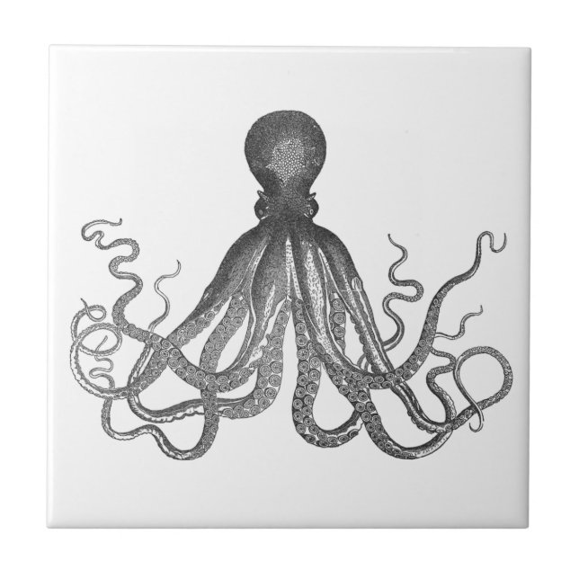 Kraken - Carreaux de pieuvre géants noirs (Devant)