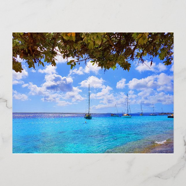 Kralendijk, Bonaire Postcard (Front)