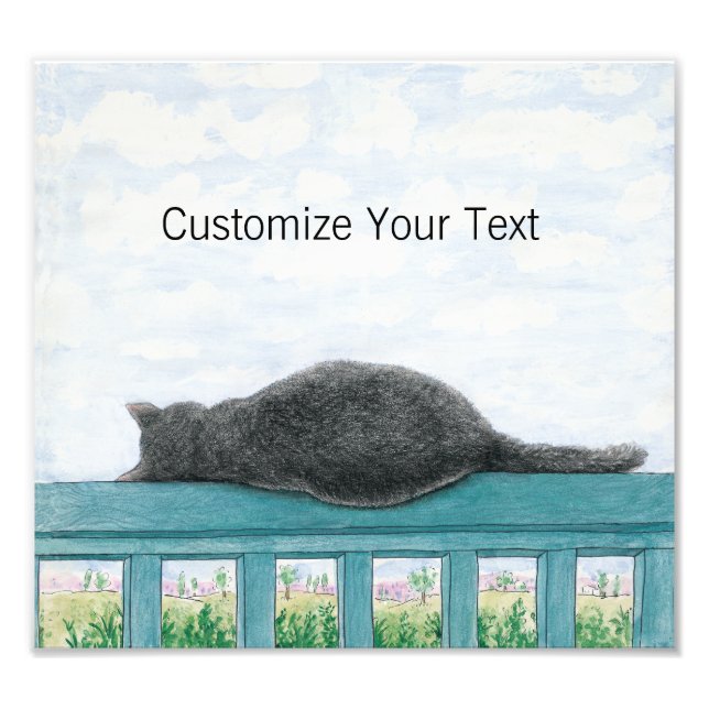 Kramer The Cat Sleeping On The Balcony Photo Print (Front)