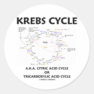 Krebs Cycle A.K.A. Citric Acid Cycle Tricarboxylic Classic Round Sticker