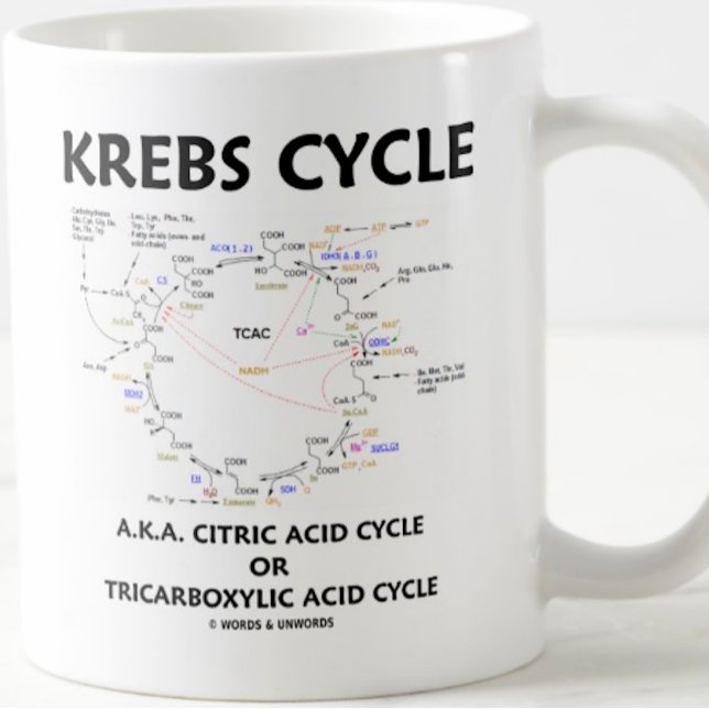 Krebs Cycle A.K.A. Citric Acid Cycle Tricarboxylic Coffee Mug (Biochemistry attitude mug for any Krebs cycle fan)