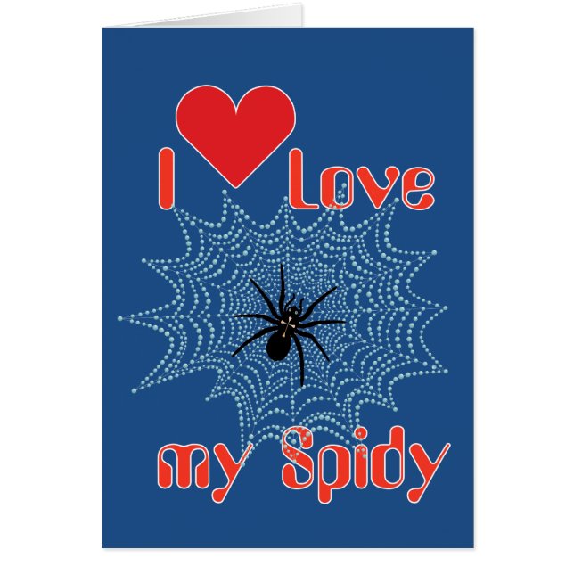 Kreuzspinne im Netz (Devant)