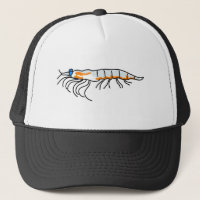 krill