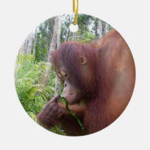 Krista Orangutan in Borneo Ceramic Ornament