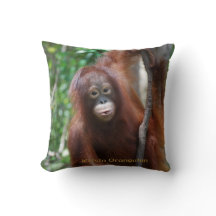 Krista Orangutan