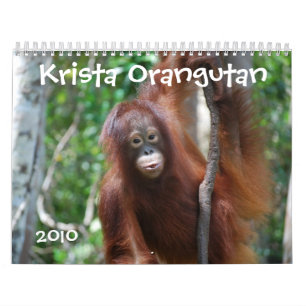 Krista Orangutan wildlife charity calendar