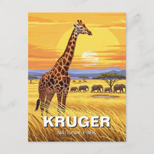 Kruger National Park South Africa Postcard