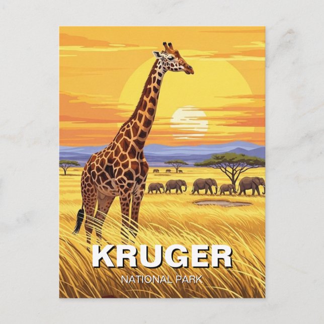 Kruger National Park South Africa Postcard (Front)