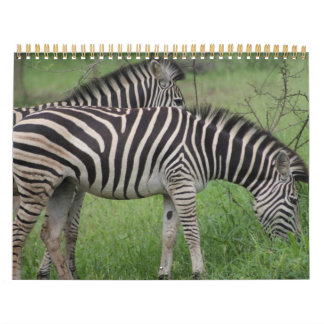 Kruger National Park wildlife calender Calendar