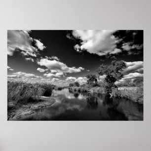 Kruger Quiescence Poster