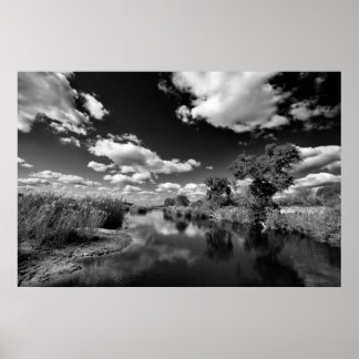 Kruger Quiescence Poster