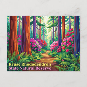 Kruse Rhododendron State Natural Reserve Postcard