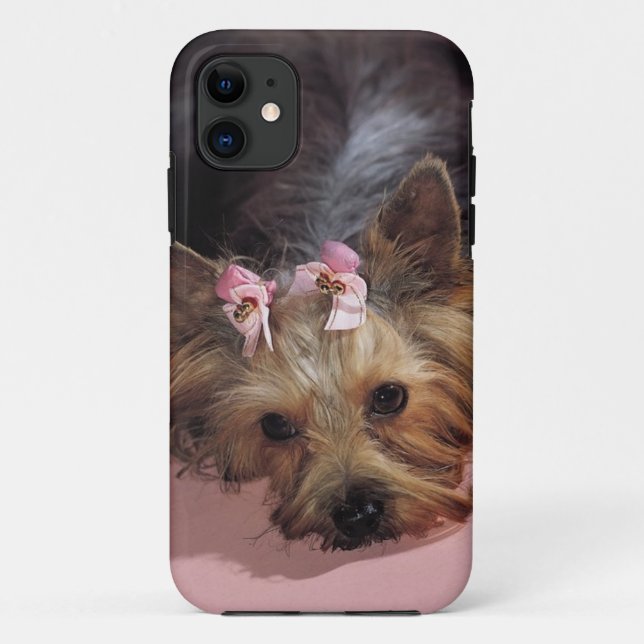 KRW Adorable Yorkie Dog iPhone 5 Cover (Back)