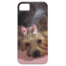 KRW Adorable Yorkie Dog iPhone 5 Cover