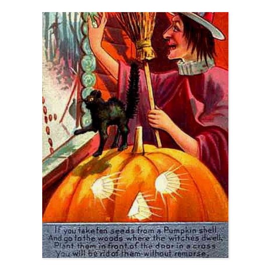 KRW Vintage How to Get Rid of Witch Postcard
