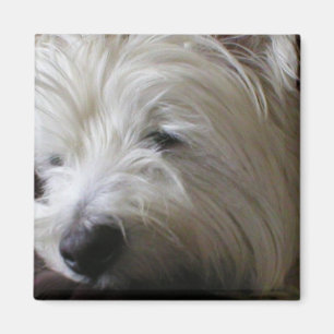 KRW Westie Magnet