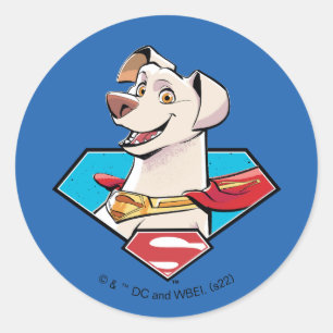 Krypto S-Shield Graphic Classic Round Sticker