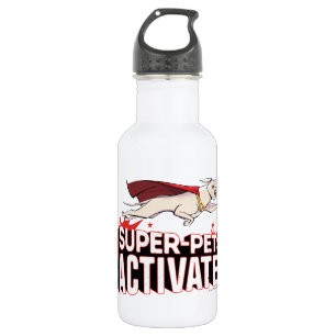 Krypto: Super-Pets Activate! 532 Ml Water Bottle