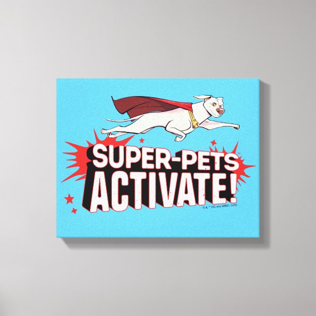 Krypto: Super-Pets Activate! Canvas Print (Front)