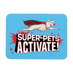 Krypto: Super-Pets Activate! Magnet