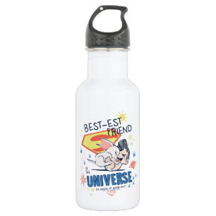 Krypto & Superman: Best-est Friend in the Universe 532 Ml Water Bottle