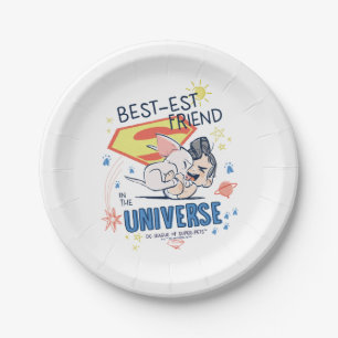 Krypto & Superman: Best-est Friend in the Universe Paper Plate