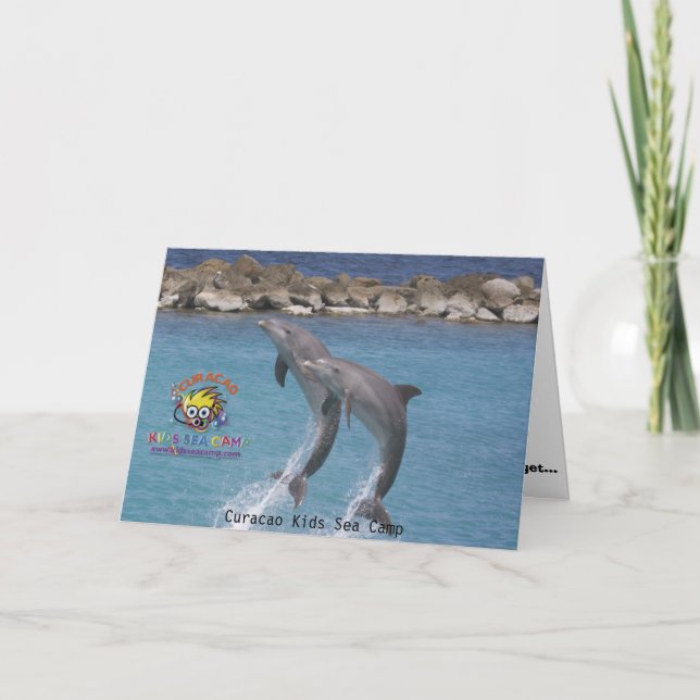 ksc_dolphin_, Curacao Kids Sea Camp Card (Front)