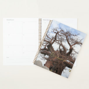 Kubu Island Baobab Tree Botswana Paysage
