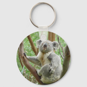Kuddly Koala Keychain