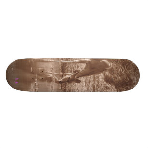 Kudu at water skateboard