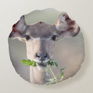 Kudu portrait round pillow