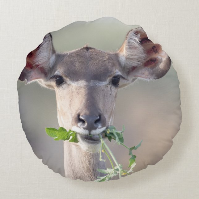 Kudu portrait round pillow (Back)