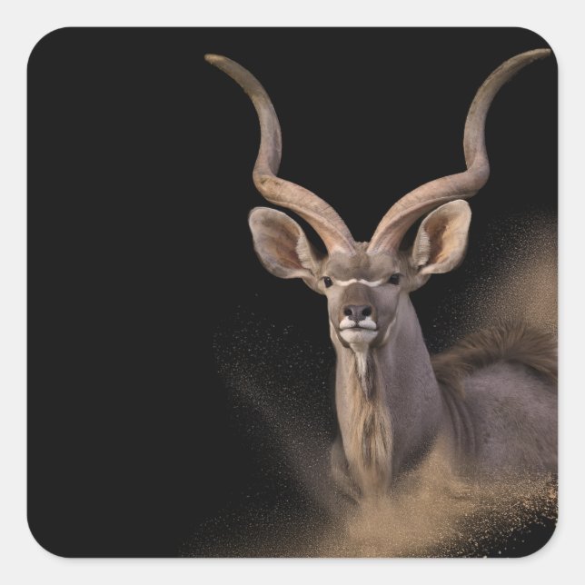 Kudu’s Spirit Square Sticker (Front)
