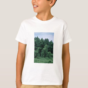 Kudzu/ Overgrown Forest T-Shirt