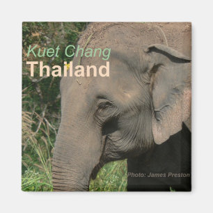 Kuet Chang Thailand Elephant Fridge Magnets