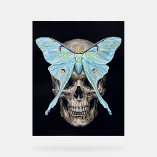 kull and Luna Moth — Memento Mori Impasto Poster