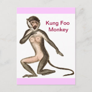Kung Foo Monkey Postcard