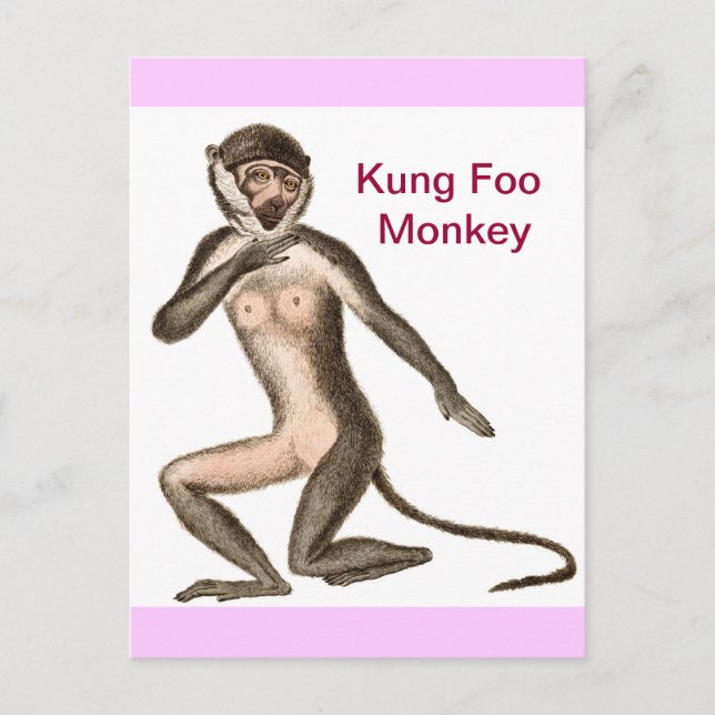 Kung Foo Monkey Postcard (Front)