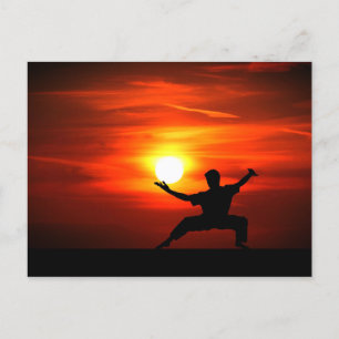Kung Fu Fighting! Holiday Postcard