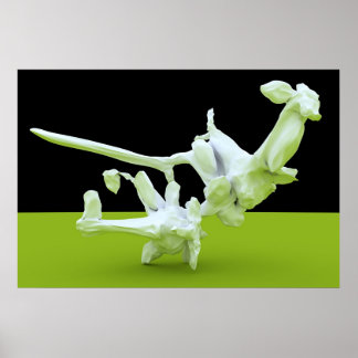 Kung-Fu Fighting Poster