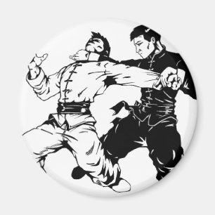 KUNG FU SWEEP MAGNET