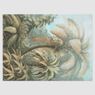 Kunstformen der Natur, Filicinae - Ernst Haeckel Tissue Paper