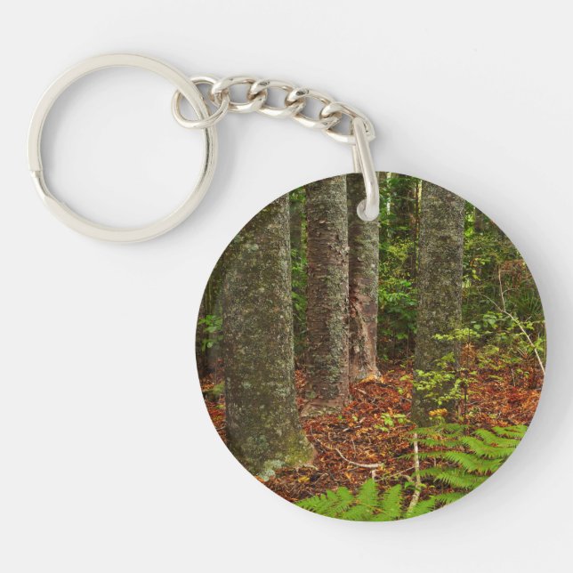 Kuri trees | New Zealand Keychain (Front)