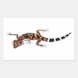 Kuriowa's Ground GECKO - Nature - Endangered Sticker