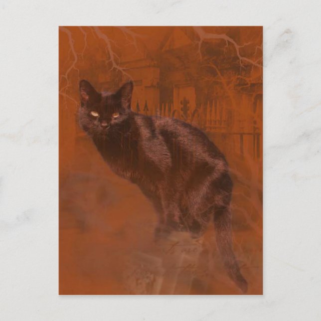 Kuroneko Kami Postcard (Front)