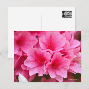 Kurume Azalea Postcard